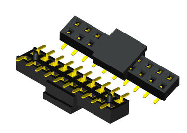 20 Pin schwarze weibliche Neigung der Titel-Verbindungsstück-Doppelt-Reihen-2.0mm mit KAPPE