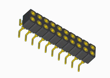 Zwei Frau Reihe SMTs runde Pin-Titel 20 Neigung der Pin-PWB-Titel-Frau-2.0mm